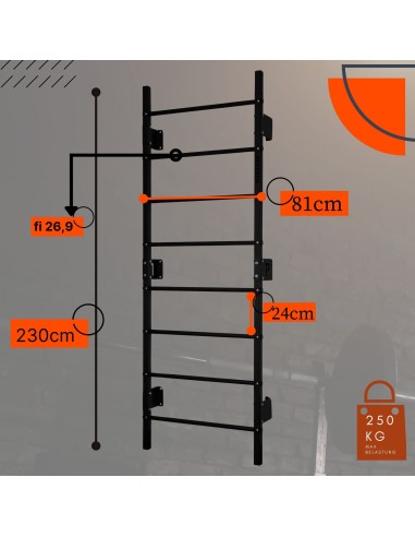 Sprossenwand aus Metall, Klettergerüst bis 250kg, Turnwand Weiß
