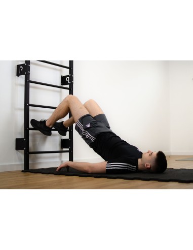 Sprossenwand aus Metall, Klettergerüst bis 250kg, Turnwand Grau