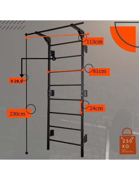 Sprossenwand mit Klimmzugstange aus Metall, Klettergerüst bis 250kg, Turnwand Schwarz