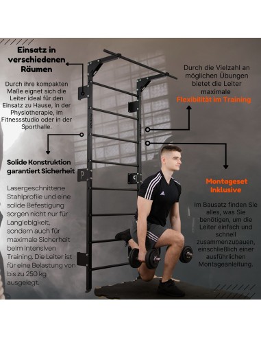 Sprossenwand mit Klimmzugstange aus Metall, Klettergerüst bis 250kg, Turnwand Schwarz