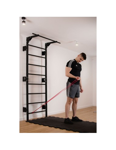 Sprossenwand mit Klimmzugstange aus Metall, Klettergerüst bis 250kg, Turnwand Schwarz