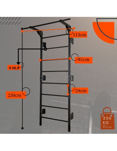 Sprossenwand mit Klimmzugstange aus Metall, Klettergerüst bis 250kg, Turnwand Grau